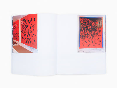 Glenn Ligon - Work Work Work Work Work Work