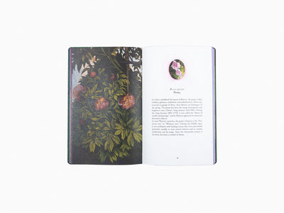 Jean Michel Othoniel - The secret language of flowers