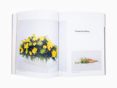 Kapwani Kiwanga - The length of the horizon