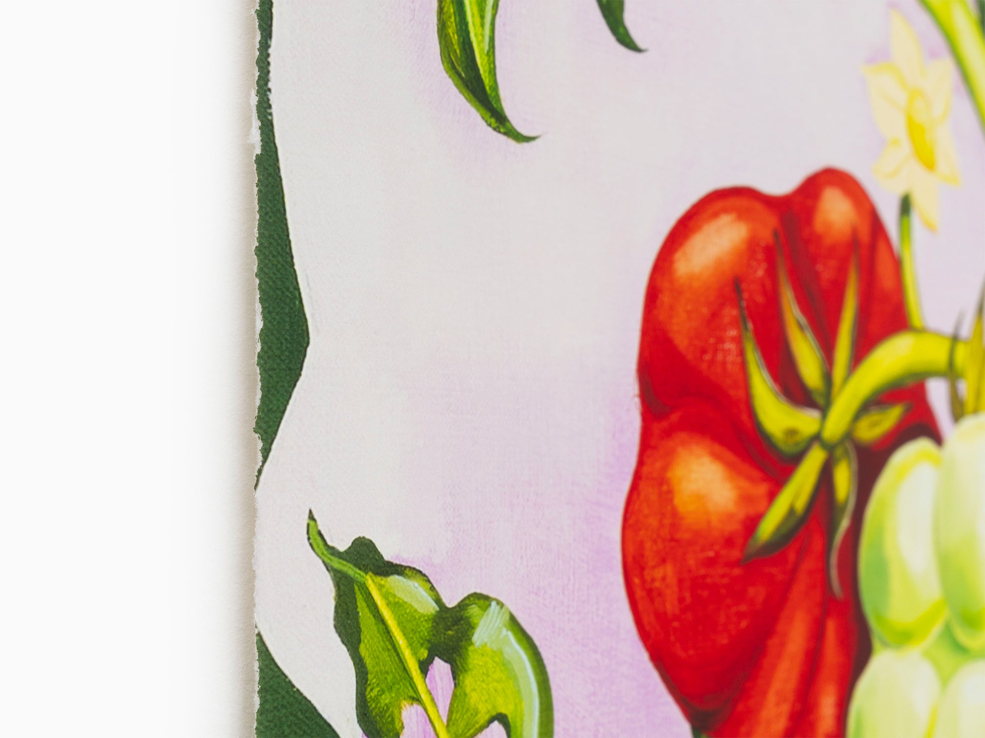 Nikki Maloof - Tomato Plant