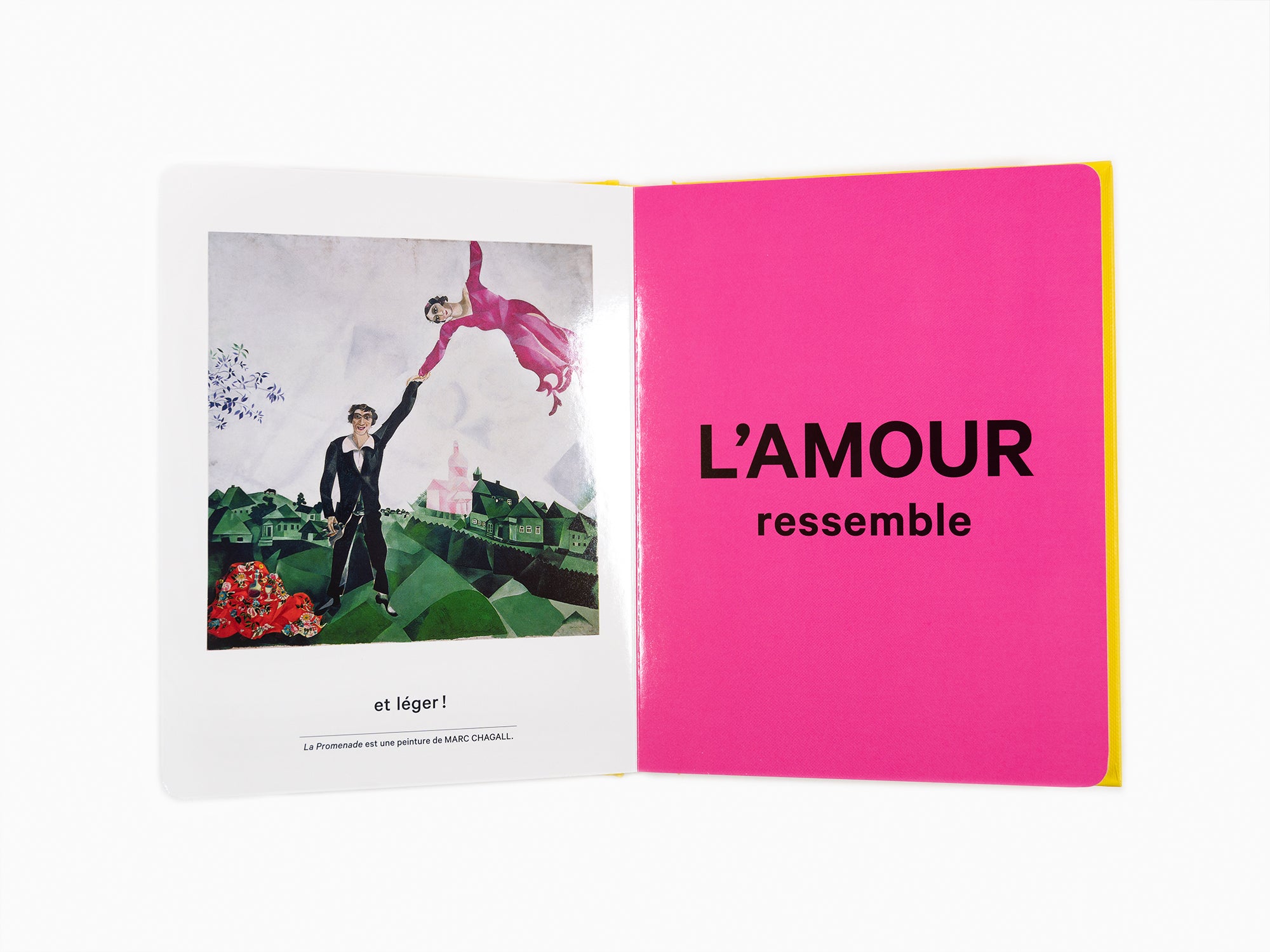 Shana Gozansky - Mon premier livre d'art : l'amour