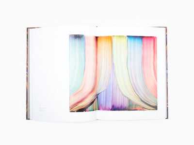 Bernard FRIZE - Monographie Perrotin