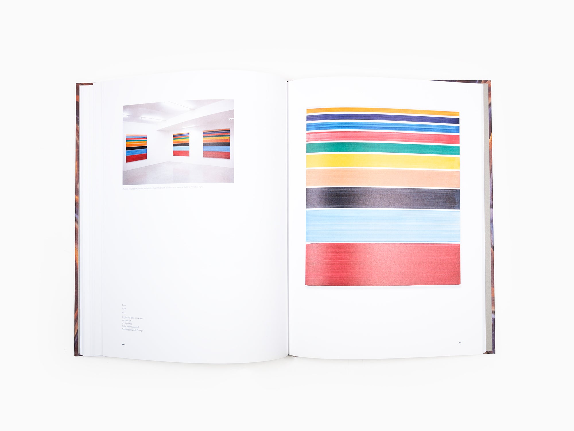 Bernard FRIZE - Monographie Perrotin