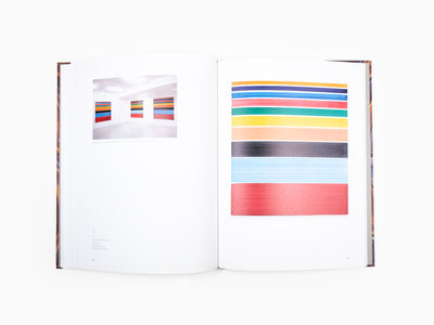 Bernard FRIZE - Monographie Perrotin