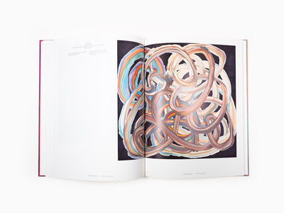 Bernard Frize - Sans repentir (Catalogue Pompidou)