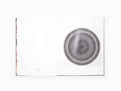 Bharti Kher - Anomalies