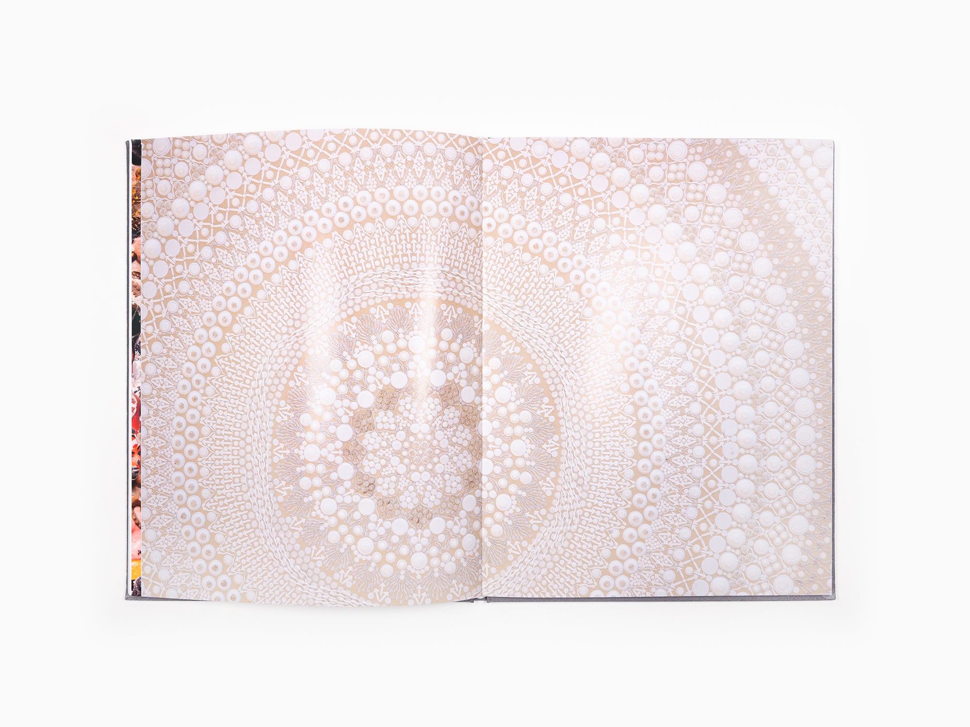 Bharti Kher - Anomalies