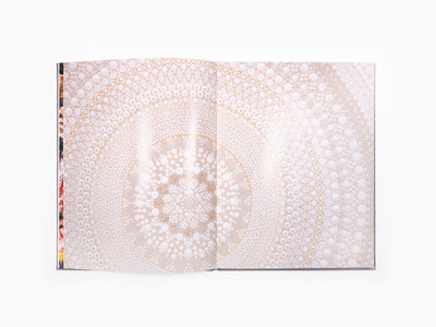 Bharti Kher - Anomalies