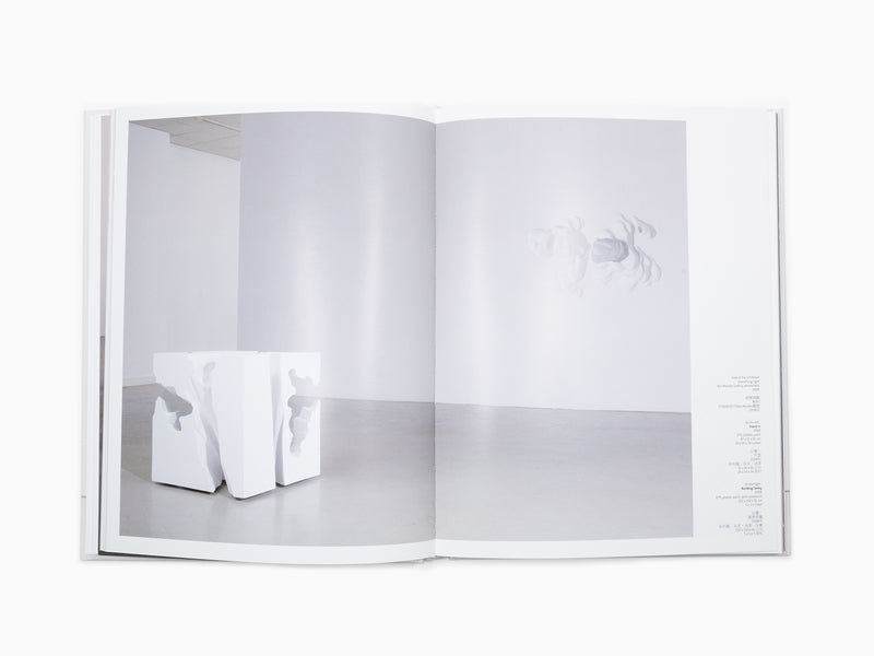 Daniel Arsham - Perrotin Monograph (2)