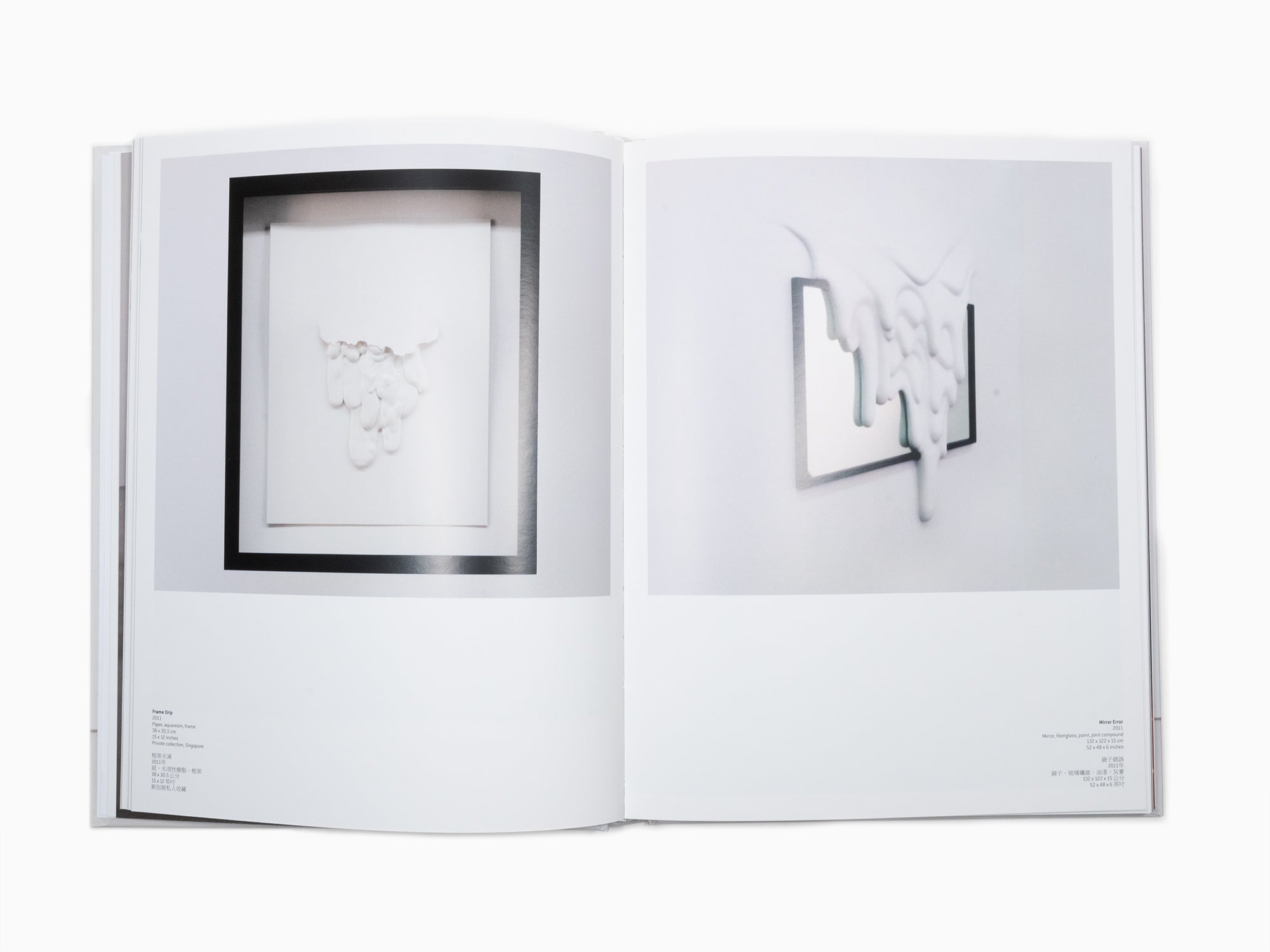 Daniel Arsham - Perrotin Monograph (2)