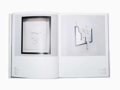 Daniel Arsham - Perrotin Monograph (2)