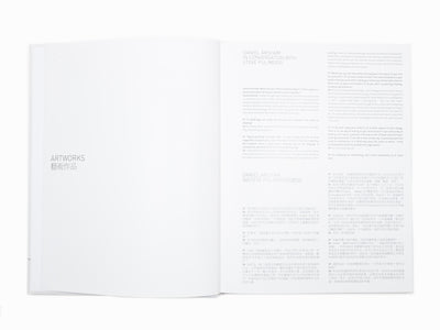 Daniel Arsham - Perrotin Monograph (2)