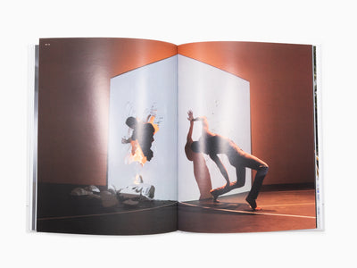 Daniel Arsham - Perrotin Monograph (2)