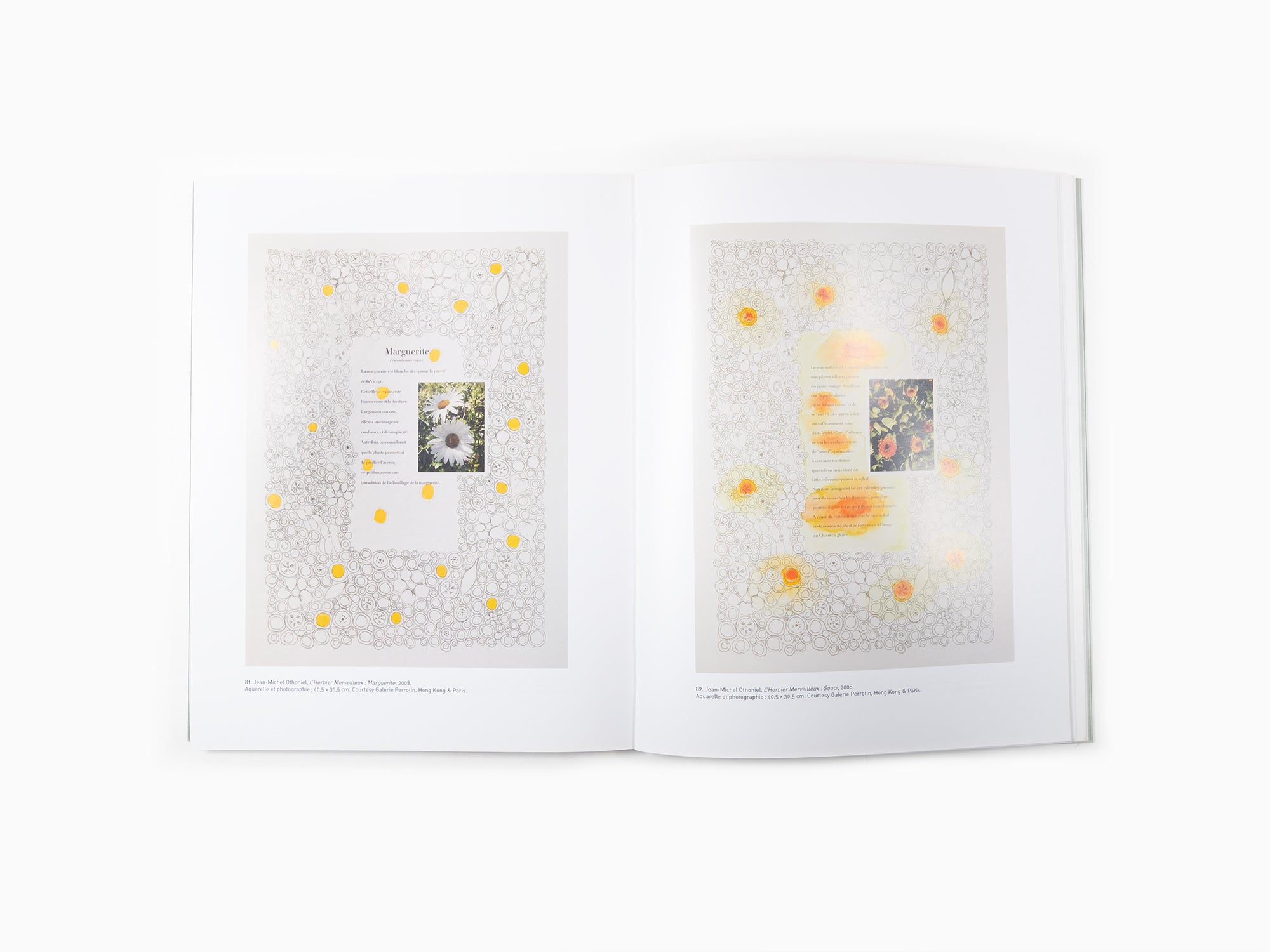 Delacroix, Othoniel, Creten - Des Fleurs en Hiver / Musée Delacroix