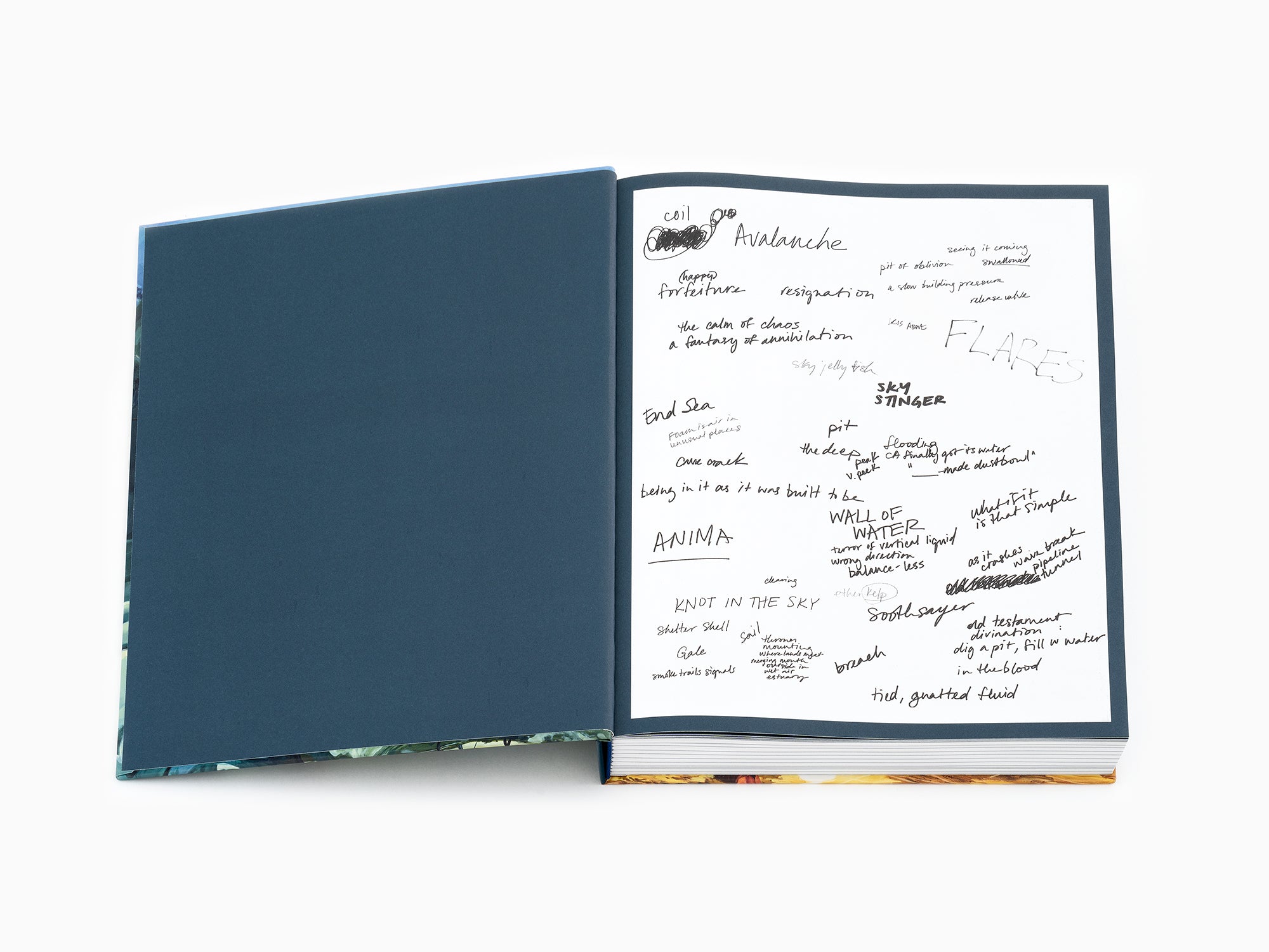 Emma Webster - Perrotin monograph