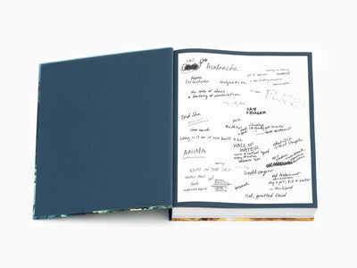 Emma Webster - Perrotin monograph