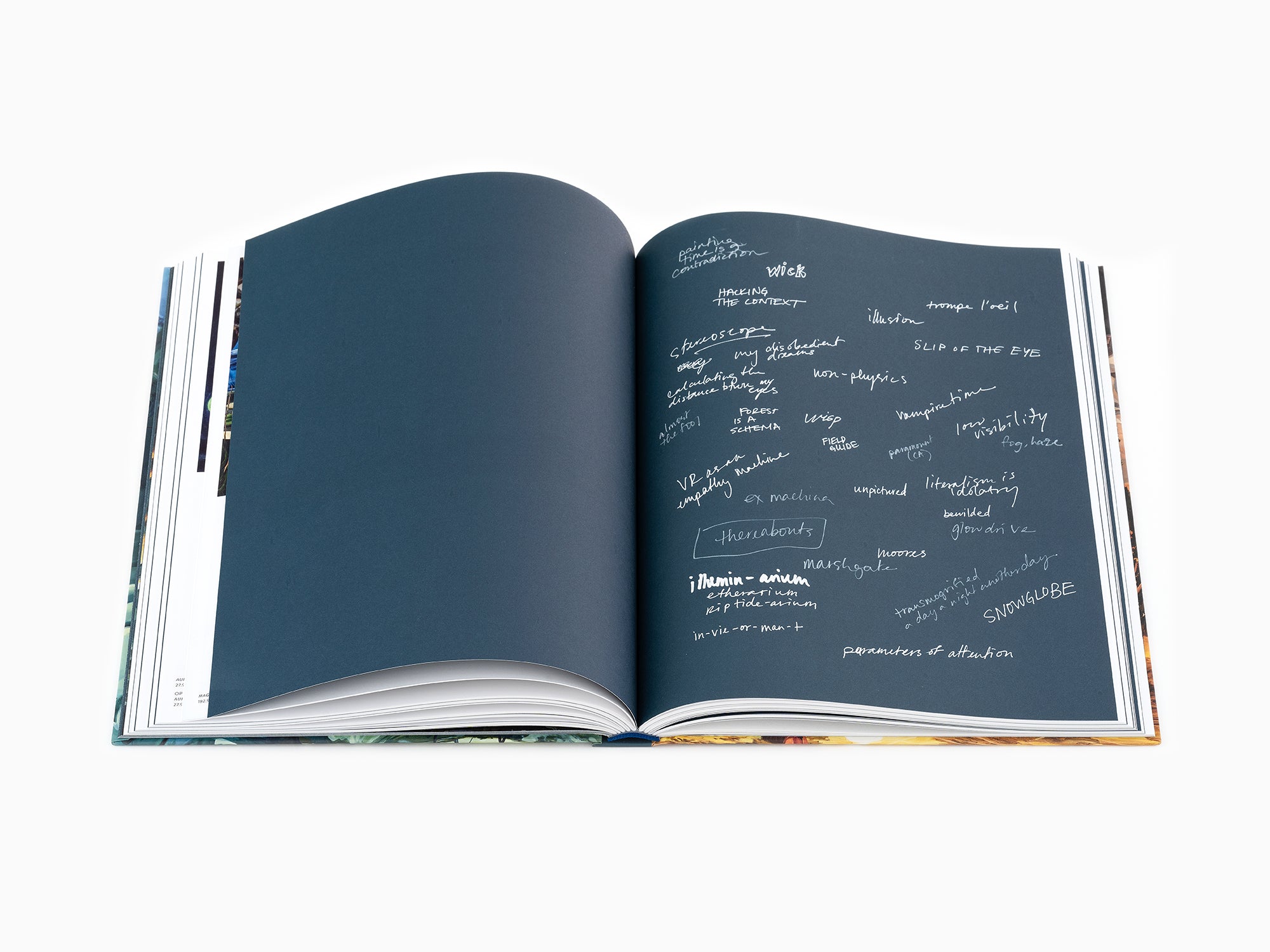 Emma Webster - Perrotin monograph