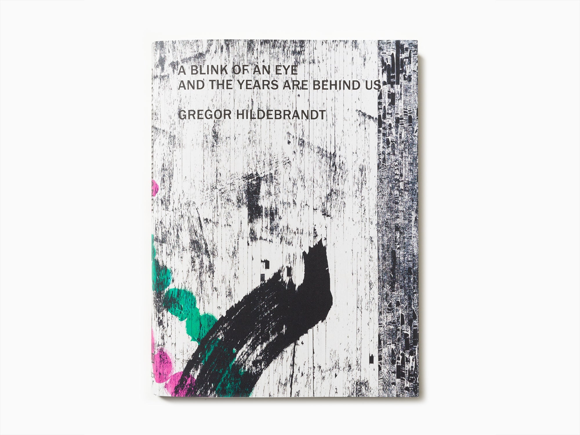 Gregor Hildebrandt - A Blink of an Eye and the Years are Behind Us