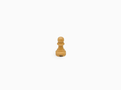Gregor Hildebrandt - Ready-made Pawns