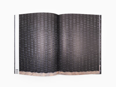 Gregor Hildebrandt - Saarlandmuseum - Sterne Streifen die Flute