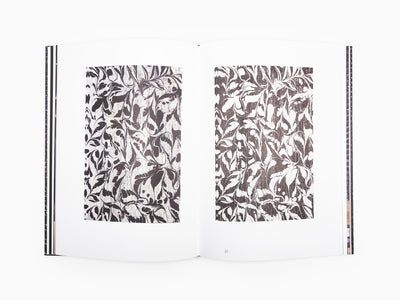 Gregor Hildebrandt - Saarlandmuseum - Sterne Streifen die Flute