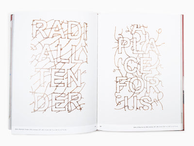 Ivan Argote - Here Together (Perrotin monograph)