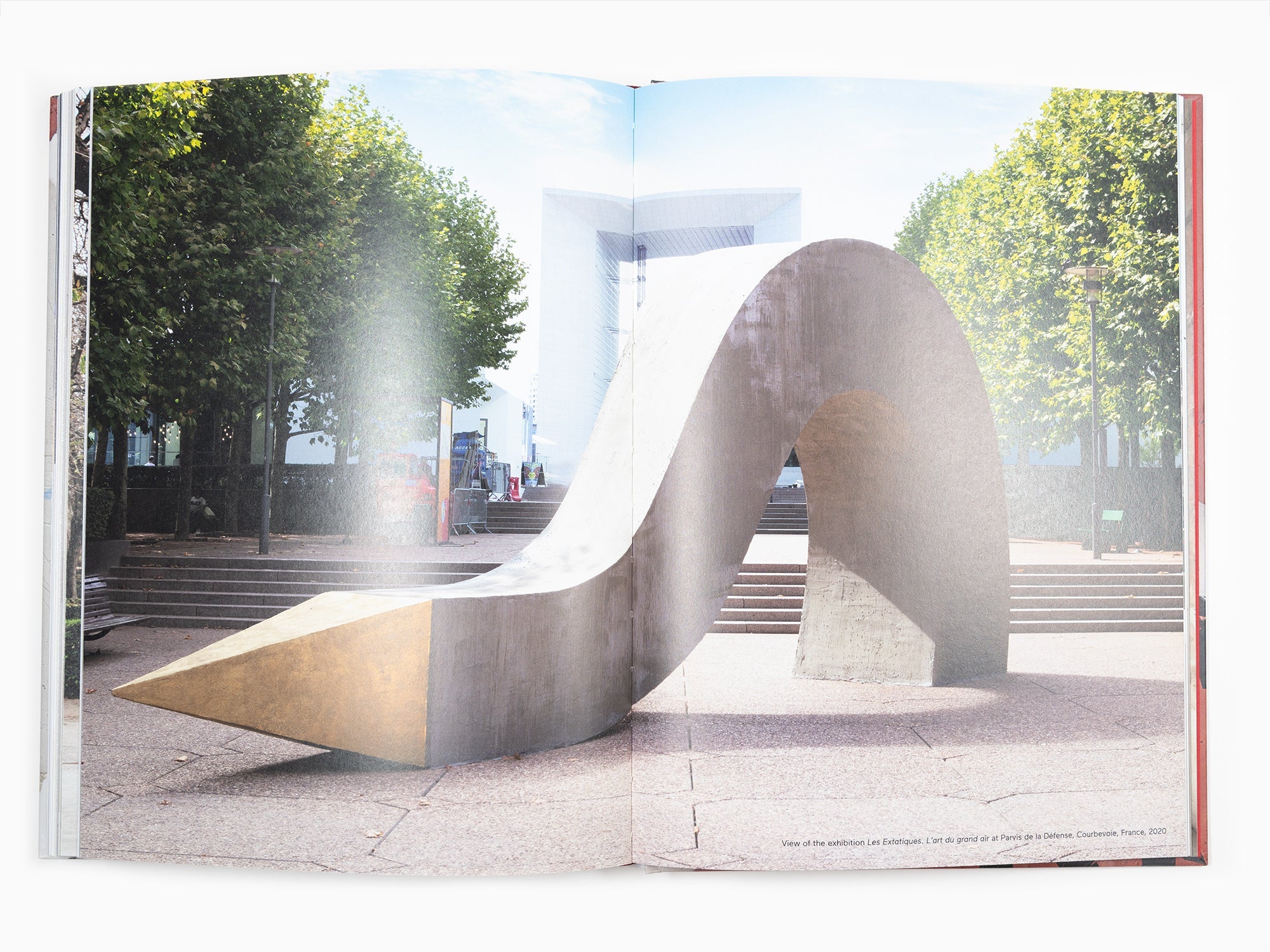 Ivan Argote - Here Together (Perrotin monograph)