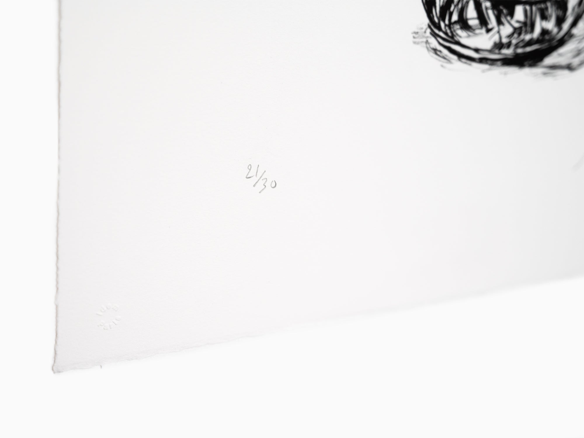 Jean-Philippe Delhomme - Wilted Flowers