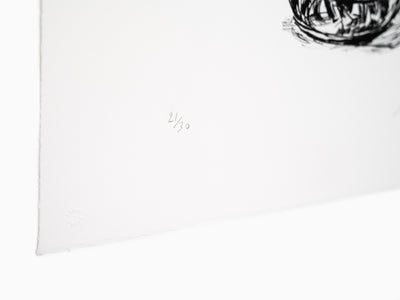 Jean-Philippe Delhomme - Wilted Flowers