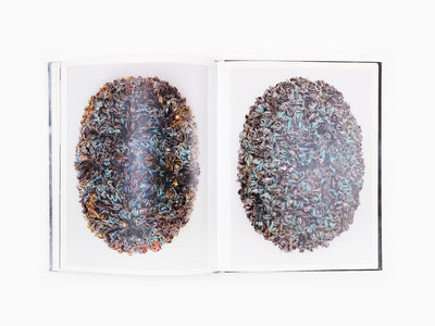 Johan Creten - Perrotin monograph