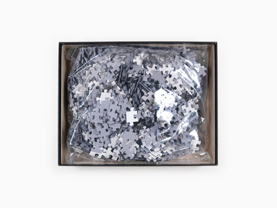 JR - Puzzle « La Caverne du Pont-Neuf »