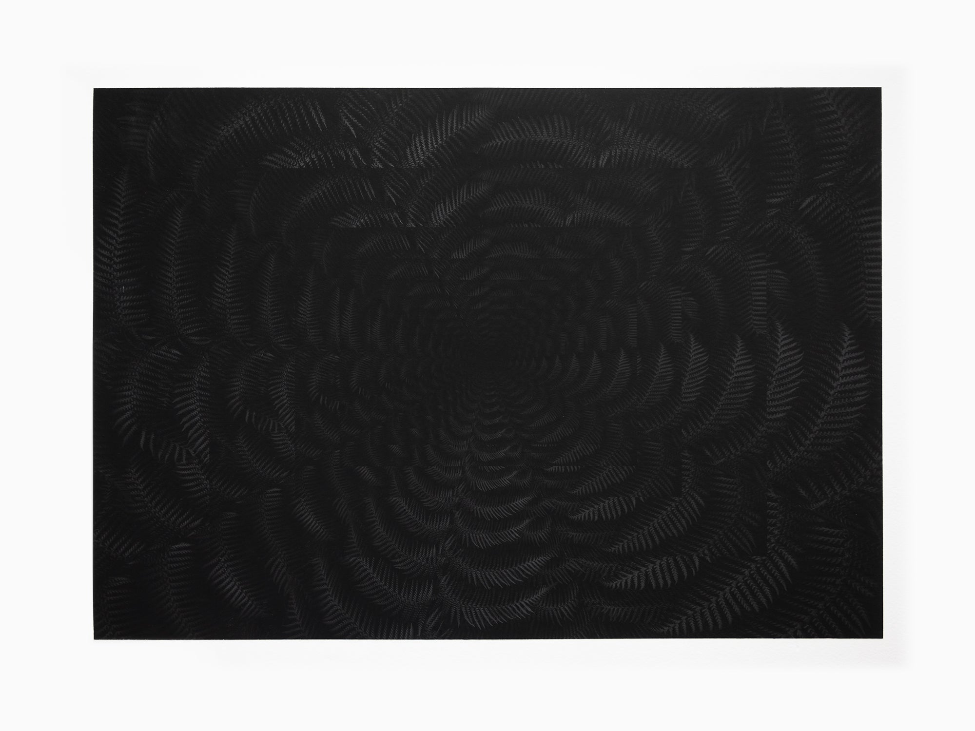 Julian Charrière - Dicksonia Antarctica (edition)