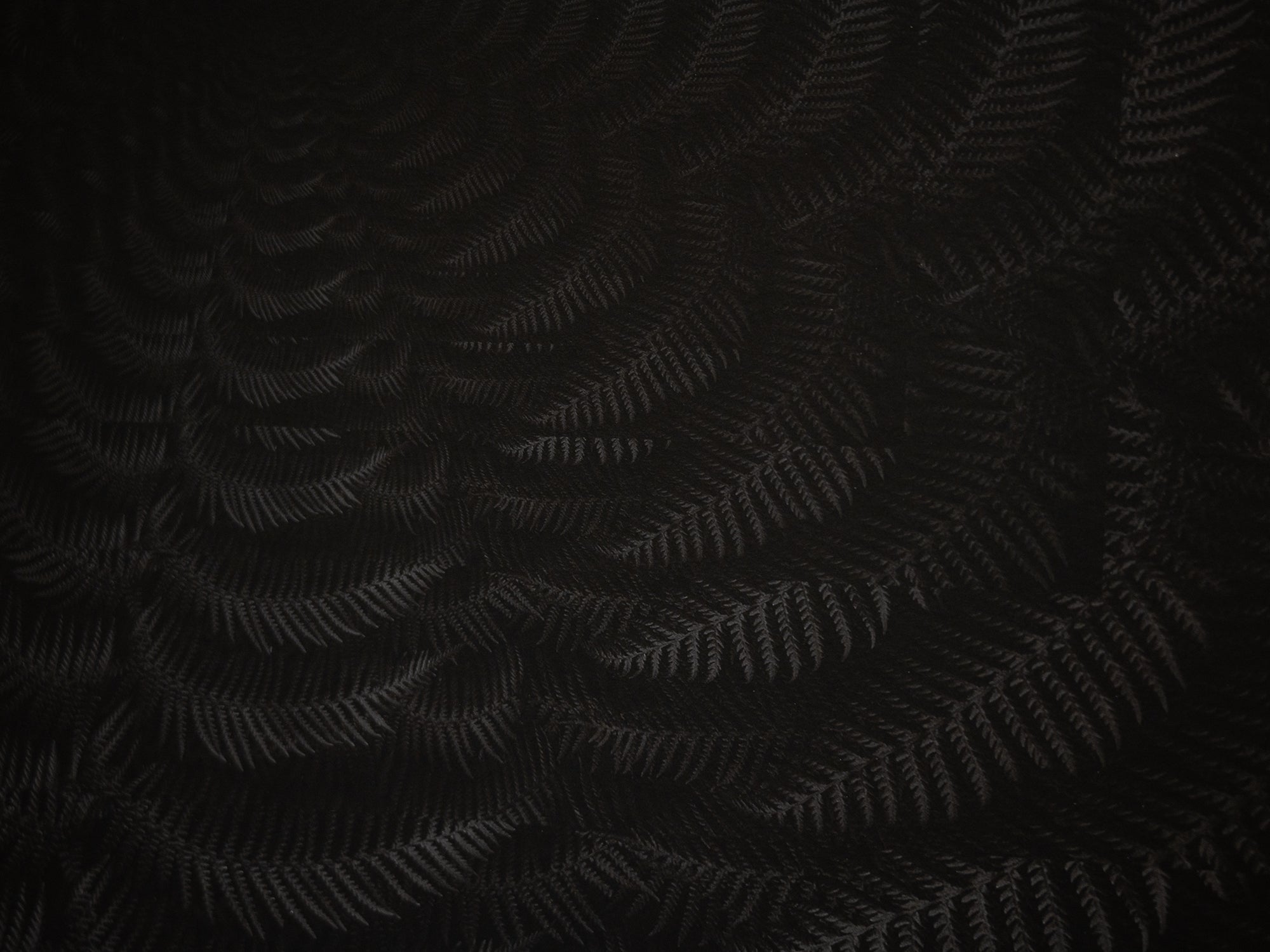 Julian Charrière - Dicksonia Antarctica (edition)