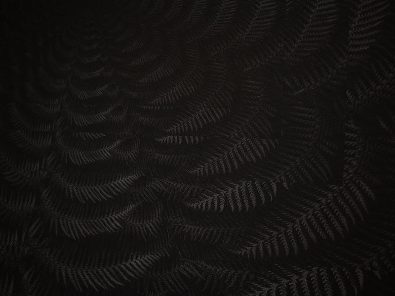 Julian Charrière - Dicksonia Antarctica (edition)