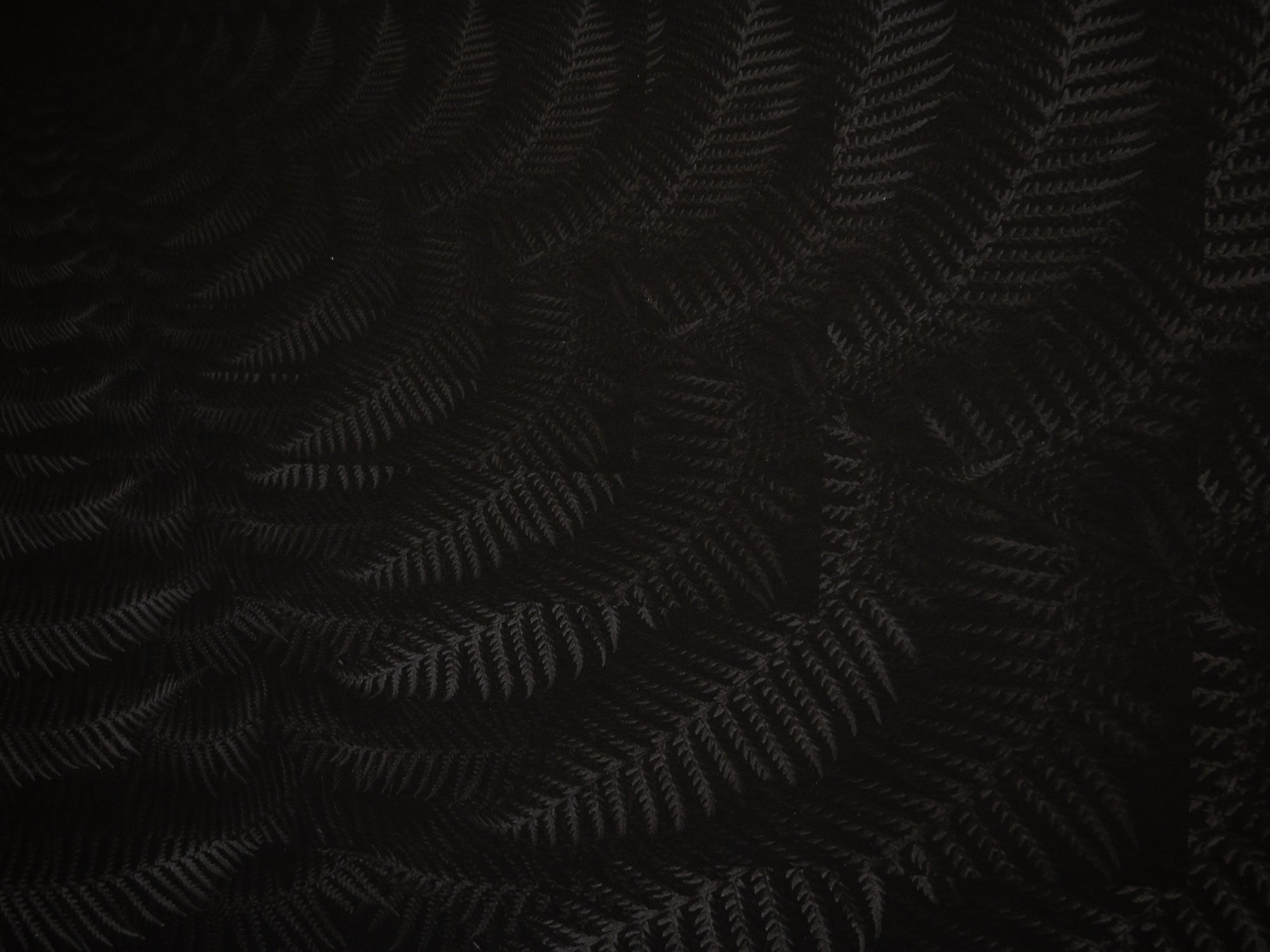 Julian Charrière - Dicksonia Antarctica (edition)