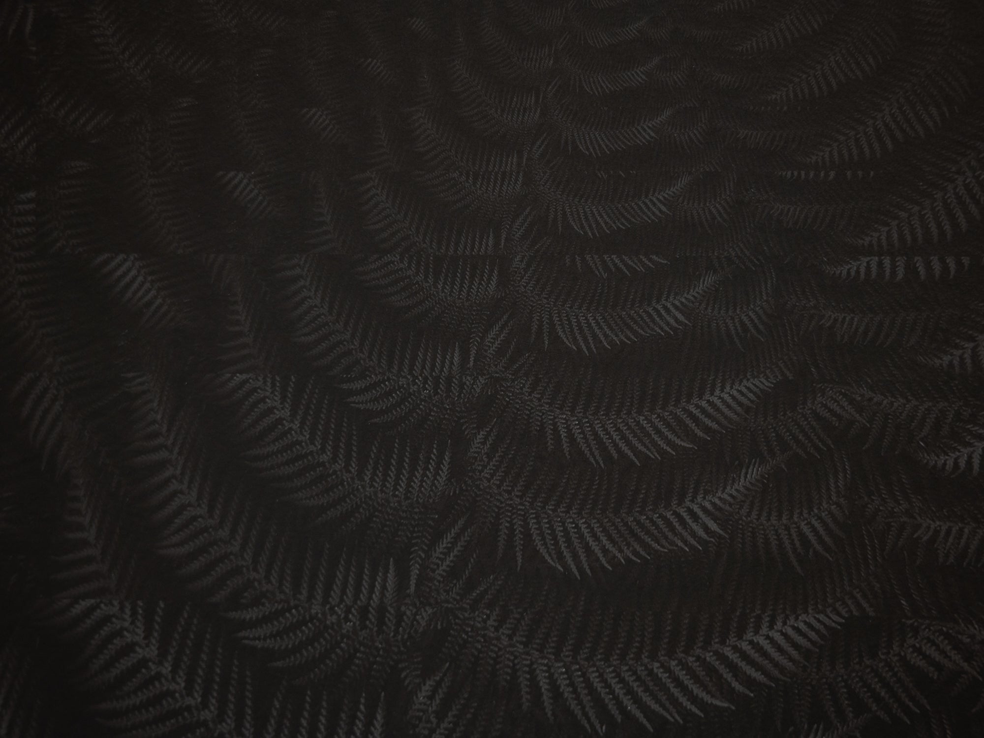 Julian Charrière - Dicksonia Antarctica (edition)