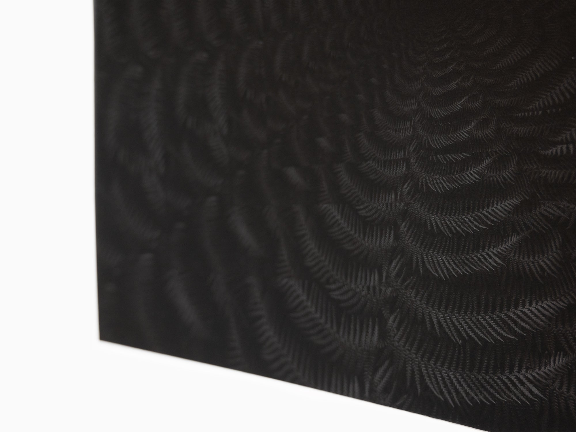 Julian Charrière - Dicksonia Antarctica (edition)