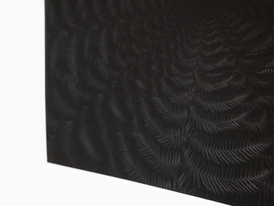 Julian Charrière - Dicksonia Antarctica (edition)