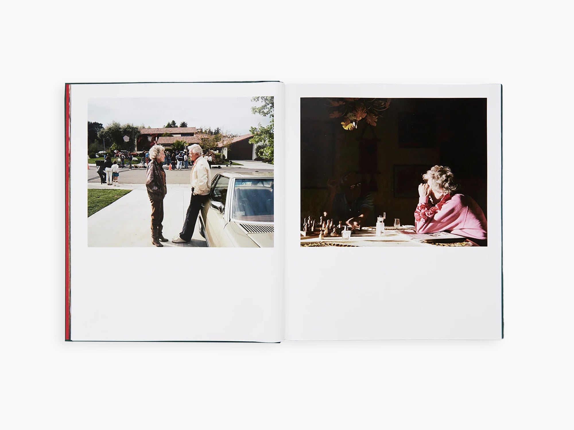 Larry Sultan - Pictures from Home