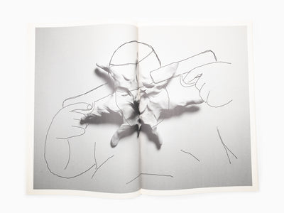 Federico Pepe - What do we regret, where do we fall, what do we lick, when do we lay