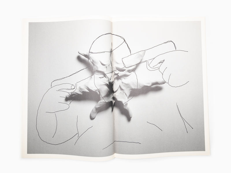 Federico Pepe - What do we regret, where do we fall, what do we lick, when do we lay