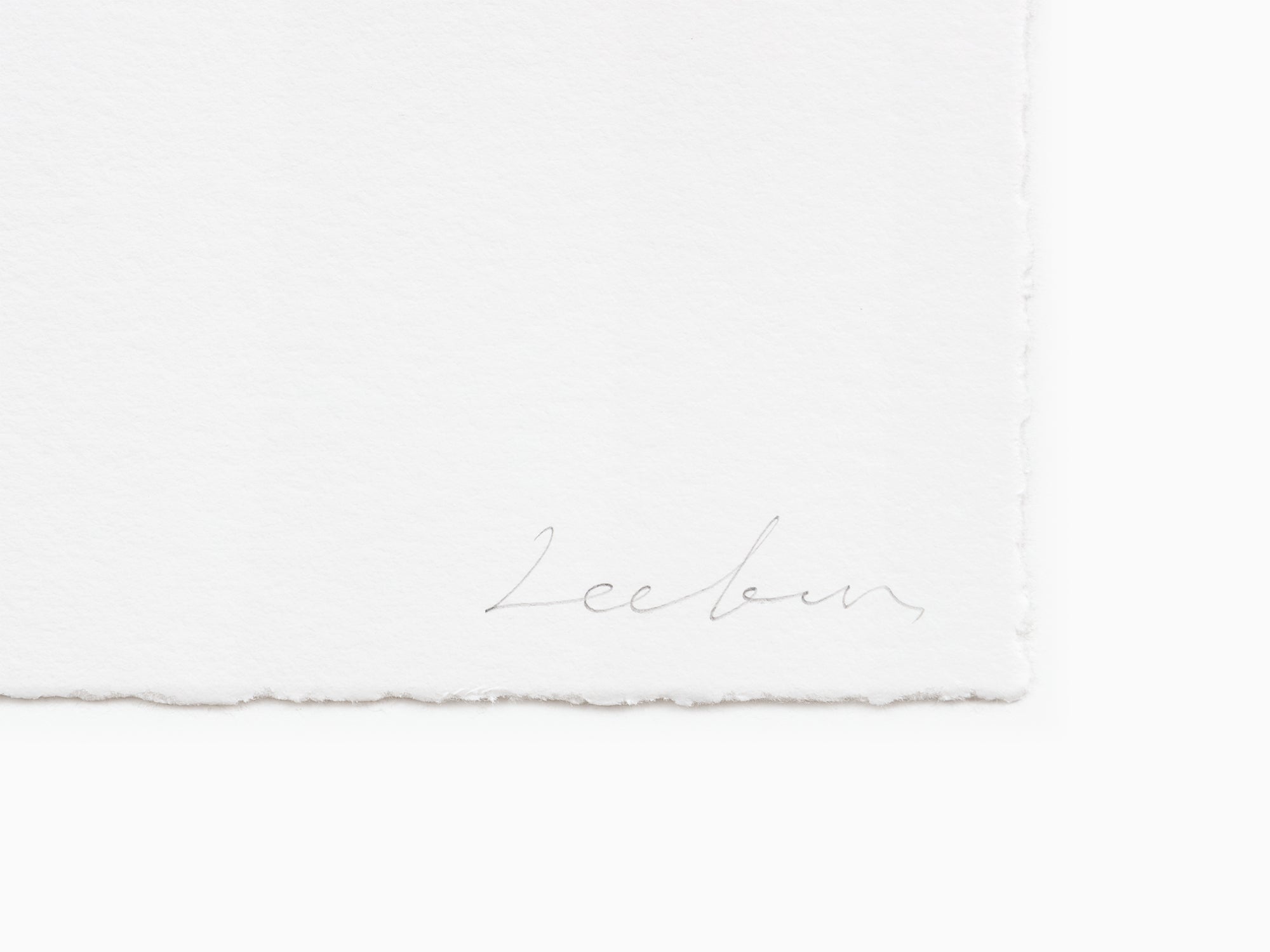 Lee Bae - Brushstroke