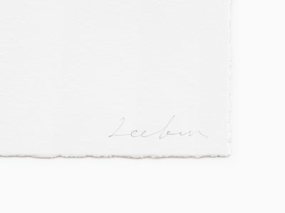 Lee Bae - Brushstroke