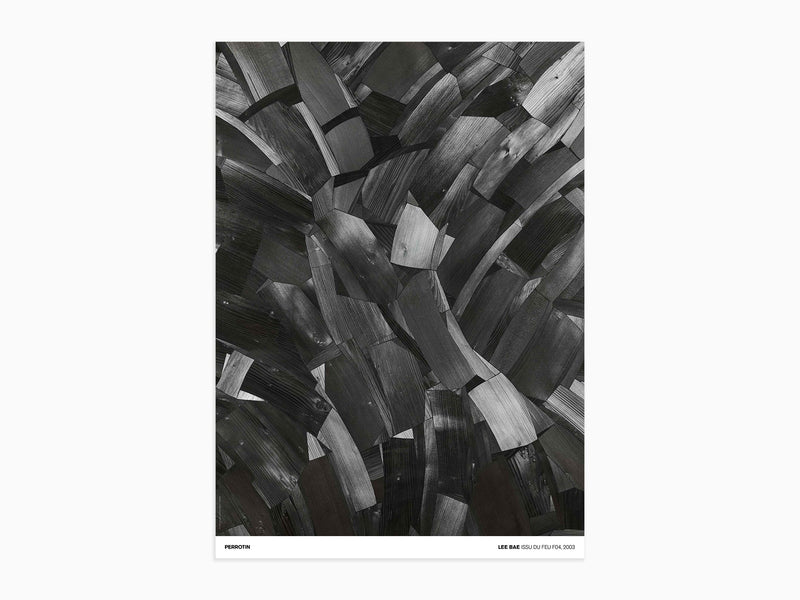 Lee Bae - Issu du Feu F04, 2003 (standard poster)