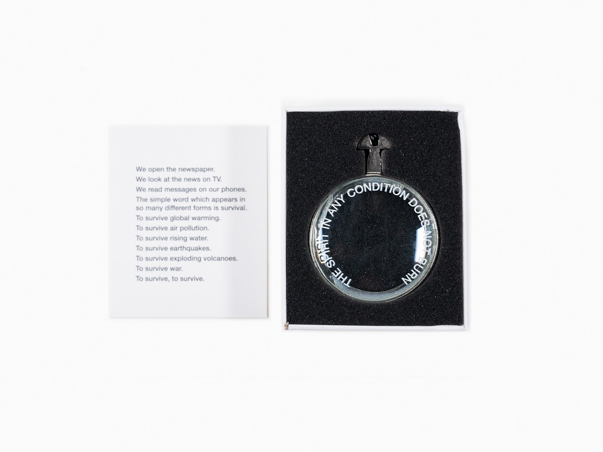 Marina Abramovic - Survival Looking Glass