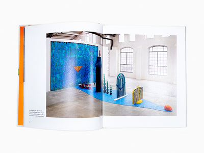 Matthew Ronay - Monograph