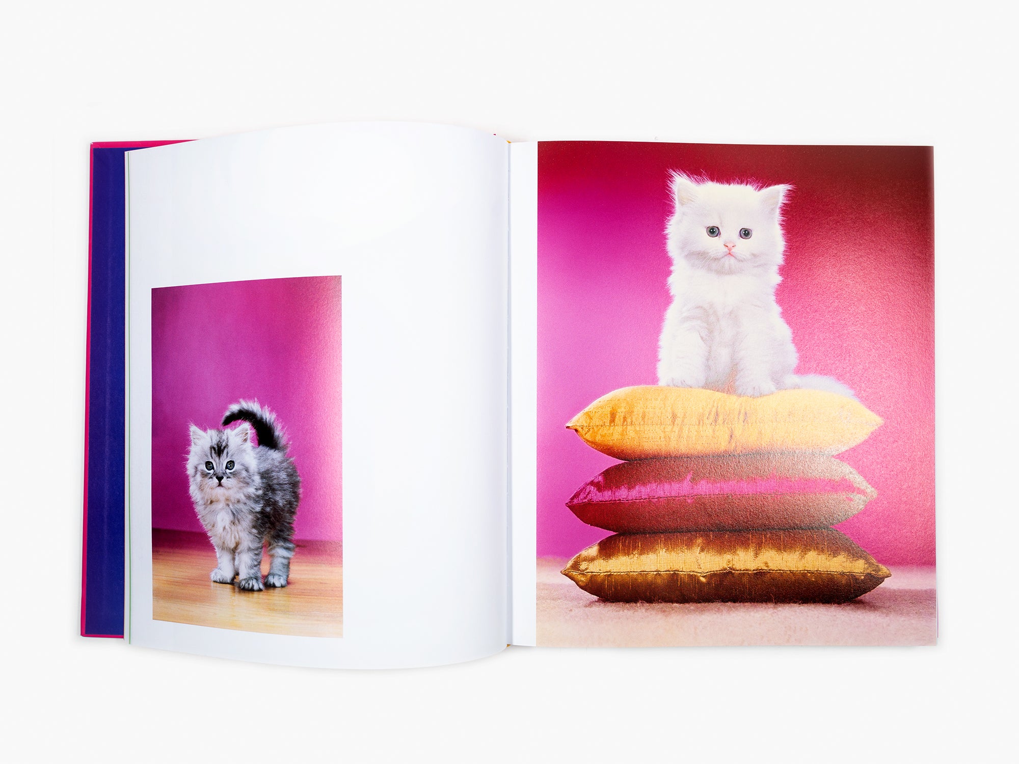 Maurizio Cattelan - Chromotherapia - Feel-Good Color Photography