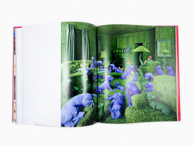 Maurizio Cattelan - Chromotherapia - Feel-Good Color Photography