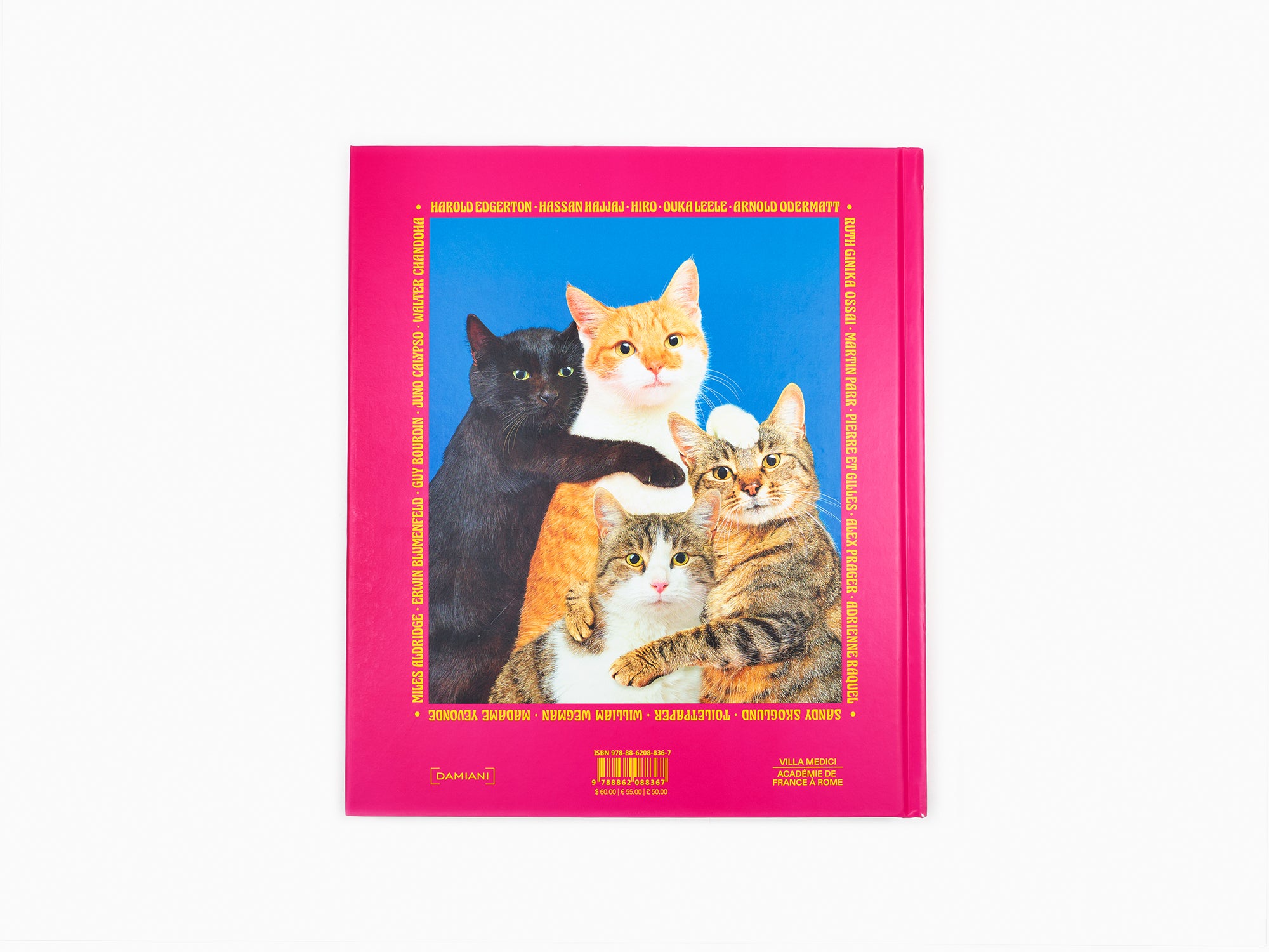 Maurizio Cattelan - Chromotherapia - Feel-Good Color Photography