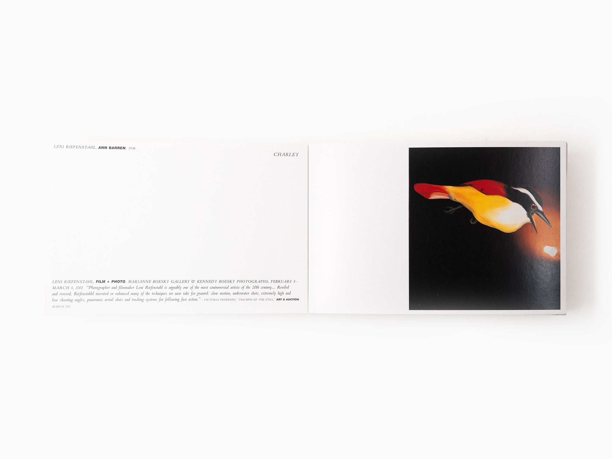 Maurizio Cattelan - Charley N°2